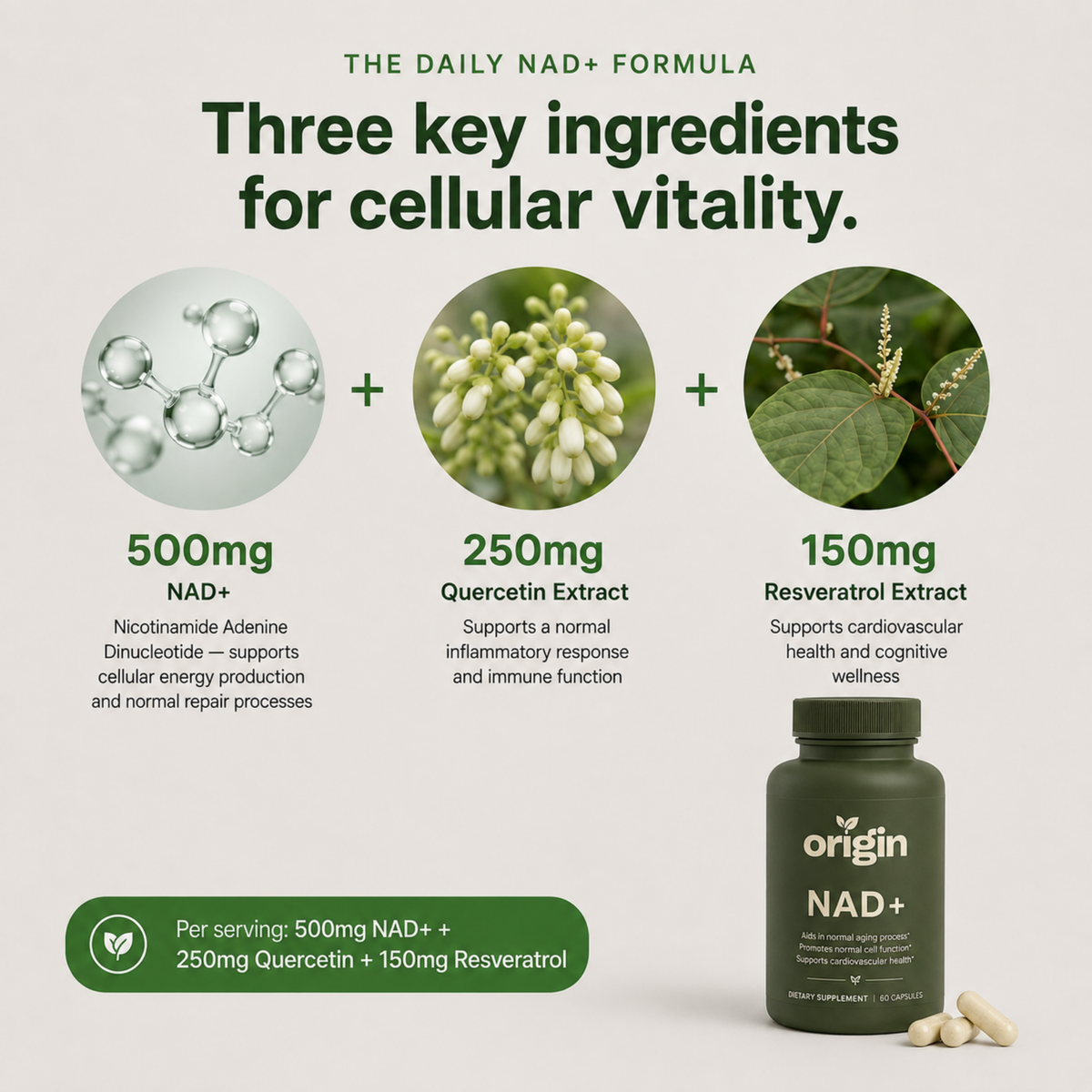 NAD+ Longevity Protocol