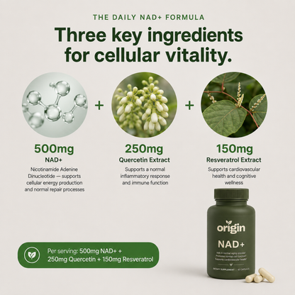 NAD+ Longevity Protocol