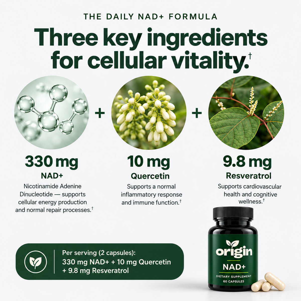 NAD+ Longevity Protocol